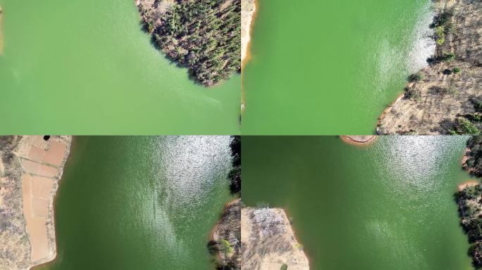 绿色湖泊航拍景观宁静湖面自然风光