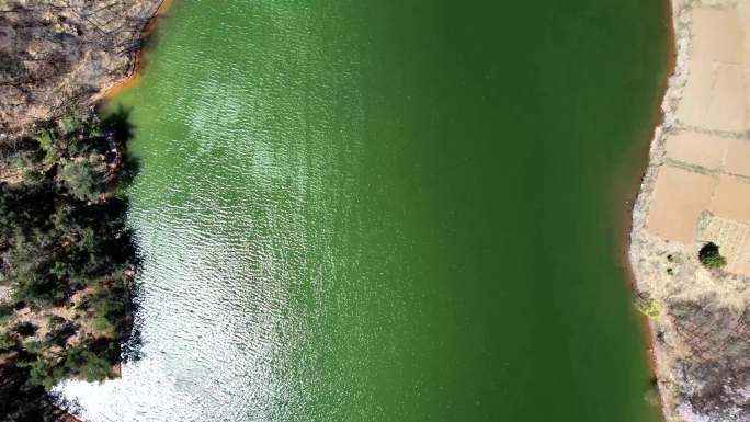 绿色湖泊航拍景观宁静湖面自然风光
