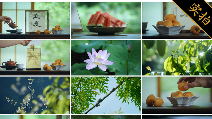 【立夏】立夏节气 夏天 唯美清新夏天空镜