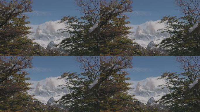 蒙特·菲茨罗伊在秋天的早晨被山毛榉树枝框住。