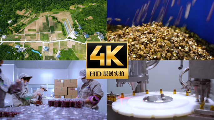 道地中药材种植基地中药生产线加工包装车间
