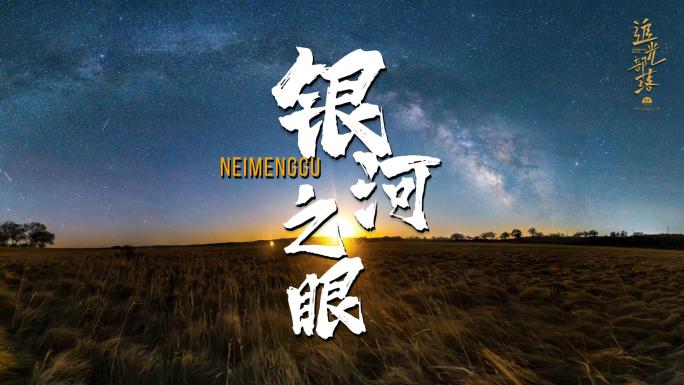 内蒙古锡林郭勒星空下的树影银河夜景延时