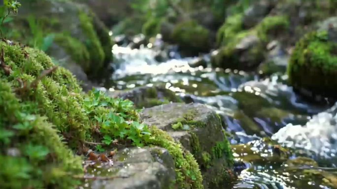 溪流岩石青苔流水
