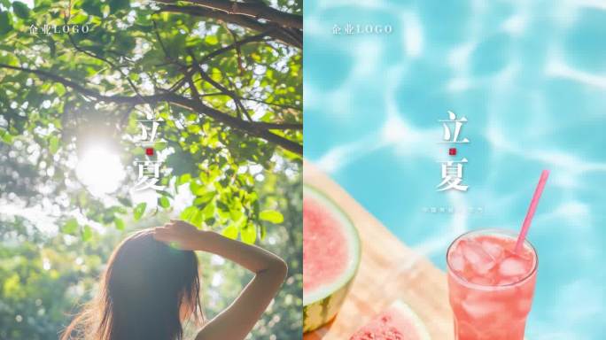立夏夏至夏天节气西瓜海滩高端地产动态海报