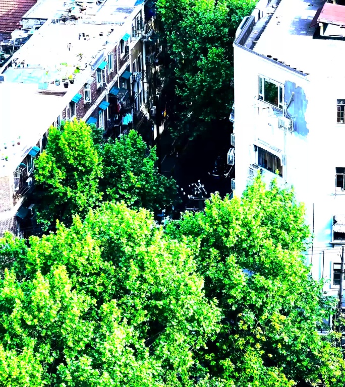 城市高楼绿树掩映，车流穿梭其中