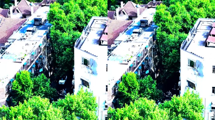 城市高楼绿树掩映，车流穿梭其中