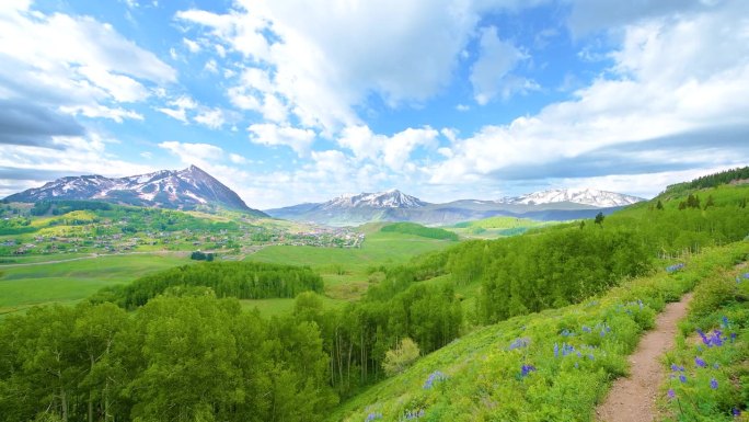 在科罗拉多州克雷斯特布特山的夏季，徒步旅行于紫花狼毒花旁。