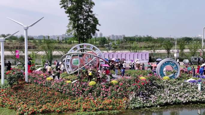 第四届德阳市花月季展素材
