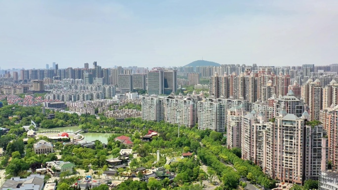 合肥徽园公园旁密集城市高楼