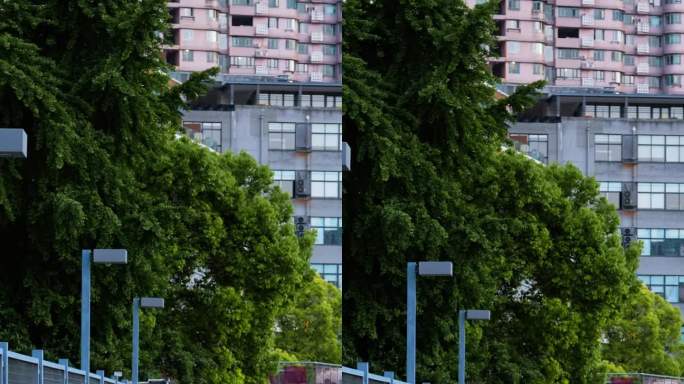 五一上海苏州河观光桥走道一家三口温馨骑行