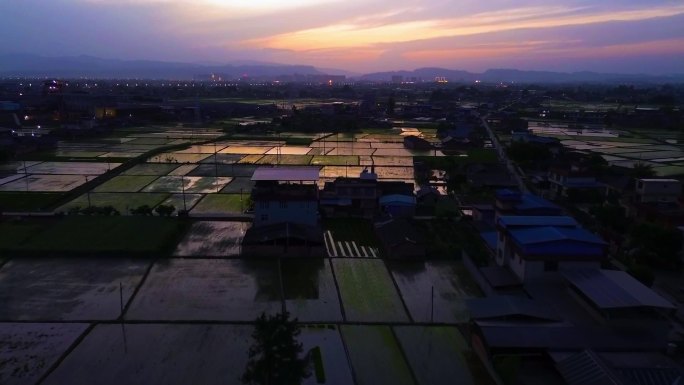 夕阳下的稻田村庄景观航拍