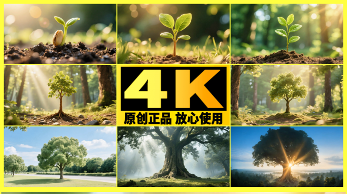【精品】树木生长时间流逝 树木生命周期