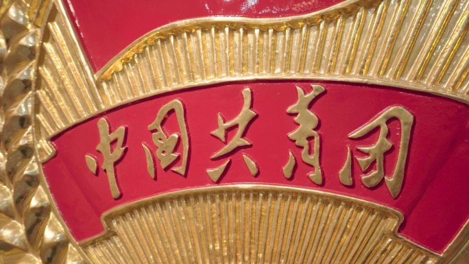 中国共青团团辉实拍特写细节
