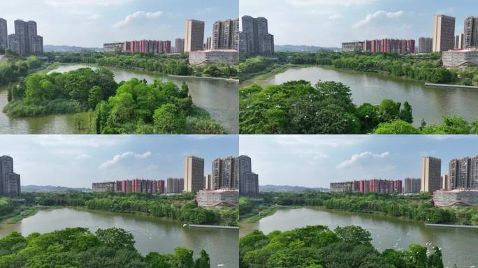 生态城市森林湿地湖水白鹭共景