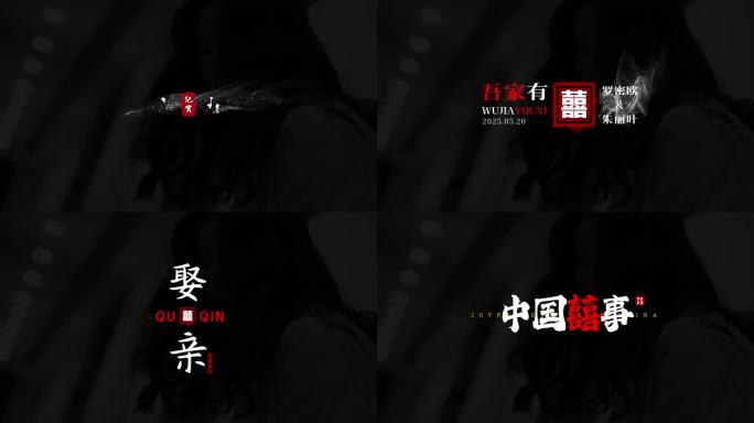 纪实婚礼文字标题字幕片头  PR模板