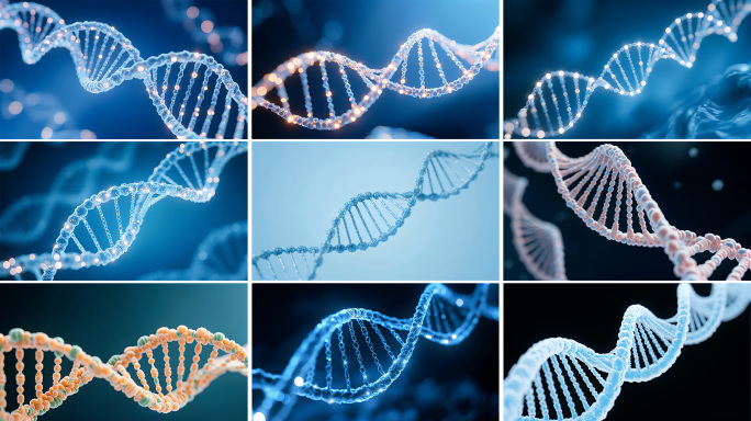 基因工程 基因链DNA