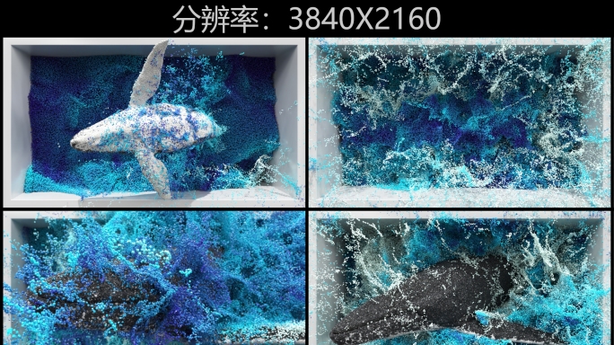 鲸鱼跳水海浪裸眼3D素材