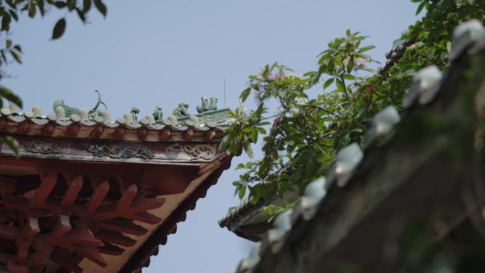 中国风建筑庭院景观