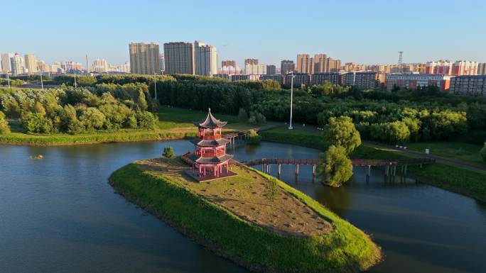 城市湿地公园风光