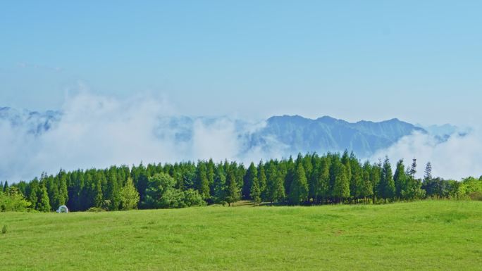 绿色草地森林山峦景观