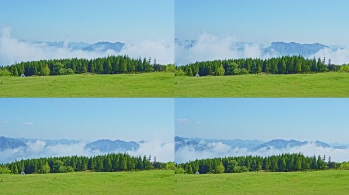 绿色草地森林山峦景观