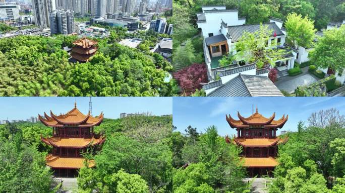 岳阳金鹗山公园