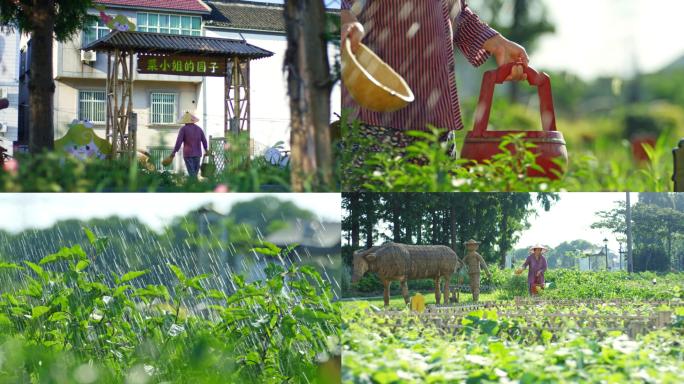 乡村田间奶奶菜园浇水空镜
