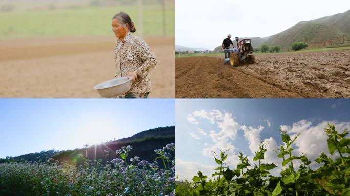 农民耕种田地辛勤劳作