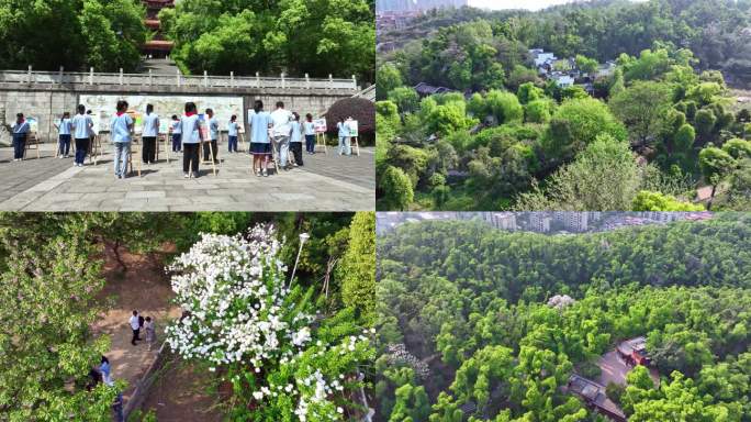 岳阳金鹗山公园