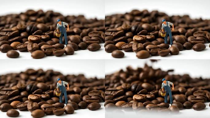 咖啡豆丰收的喜悦