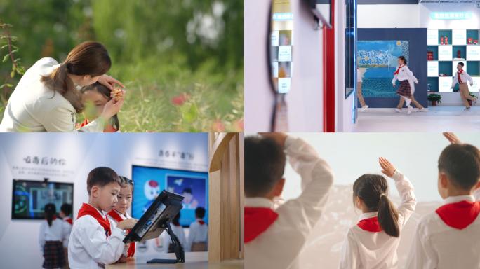 校园公安法治普法宣传青少年学生少先队敬礼