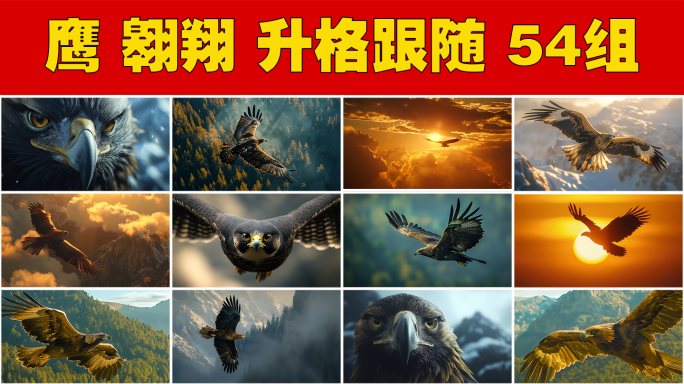 雄鹰翱翔天际苍鹰老鹰飞翔展翅高飞鹰击长空