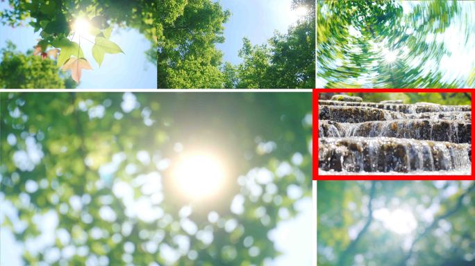 唯美阳光树叶光影树荫自然清新夏天小满夏至