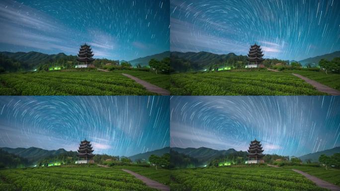 【正版原创实拍】茶园星轨星空银河春茶茶叶