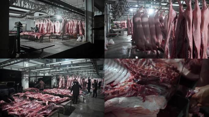 屠宰场猪场肉猪家畜杀猪