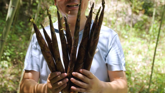 挖笋 竹笋 春笋 竹林 新鲜食材 美食