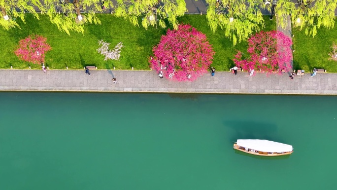 西湖白堤江南水乡春日风光