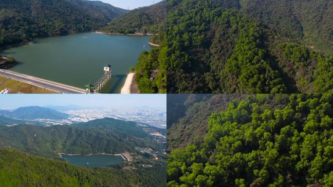 坦洲铁炉山森林公园