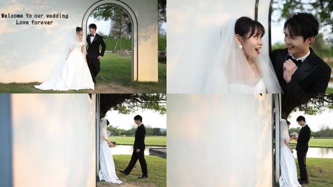 两组树下的新婚夫妇亲密互动