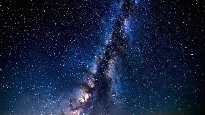 【多镜头】猫与星空月光的夜花园幻想