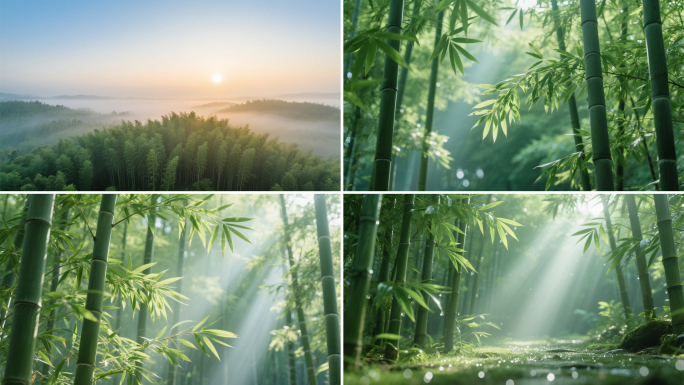 翠竹子竹林竹叶光影丁达尔耶稣光