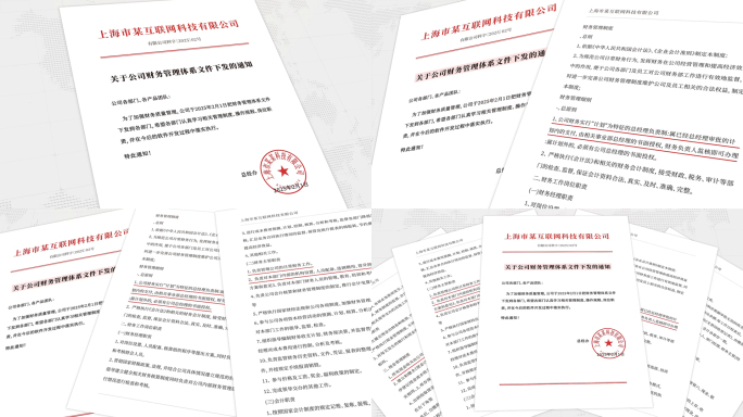 红头文件规章制度条例细则招标文件合同展示