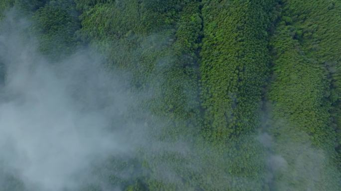 云雾缭绕的山间美景