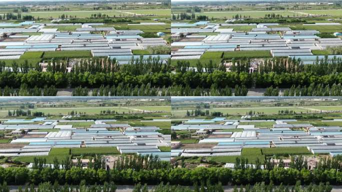 DJI_0163