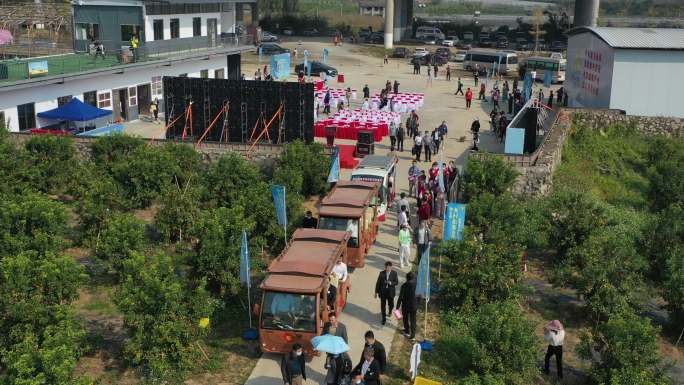 中国广东肇庆四会黄田镇砂糖橘种植基地