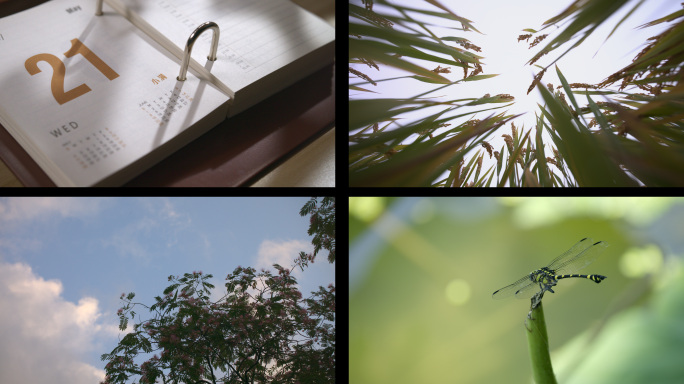 小满节气之二十四节气，田园风光自然生态