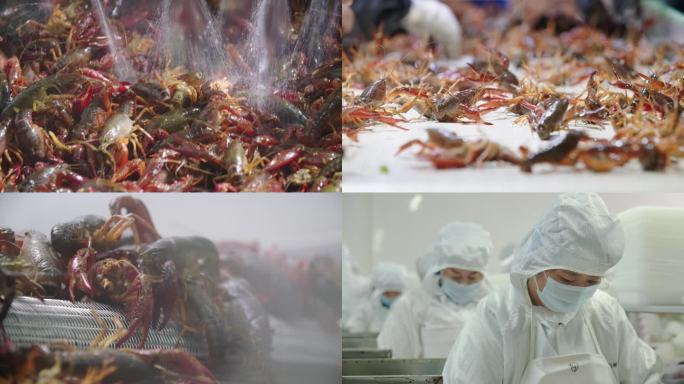 4K小龙虾加工生产线 小龙虾自动化生产线
