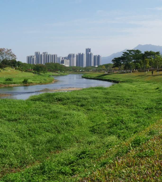 深圳坪山生态河流绿地和高层住宅（竖幅）