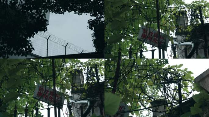 看守所监狱高墙铁丝网警示教育