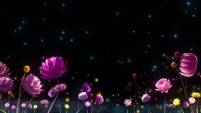 星光花海梦幻绽放